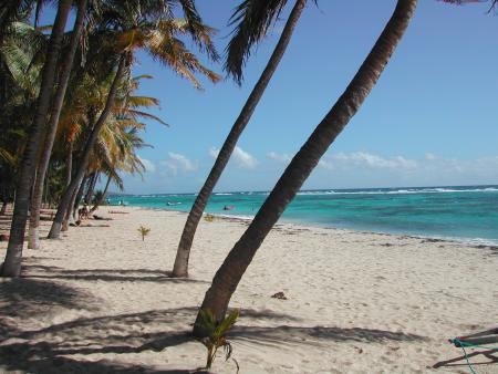 Plage de Sainte Anne
